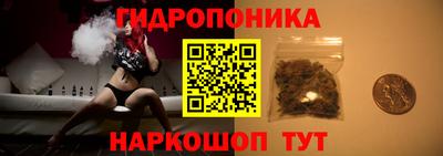 сатива Малгобек